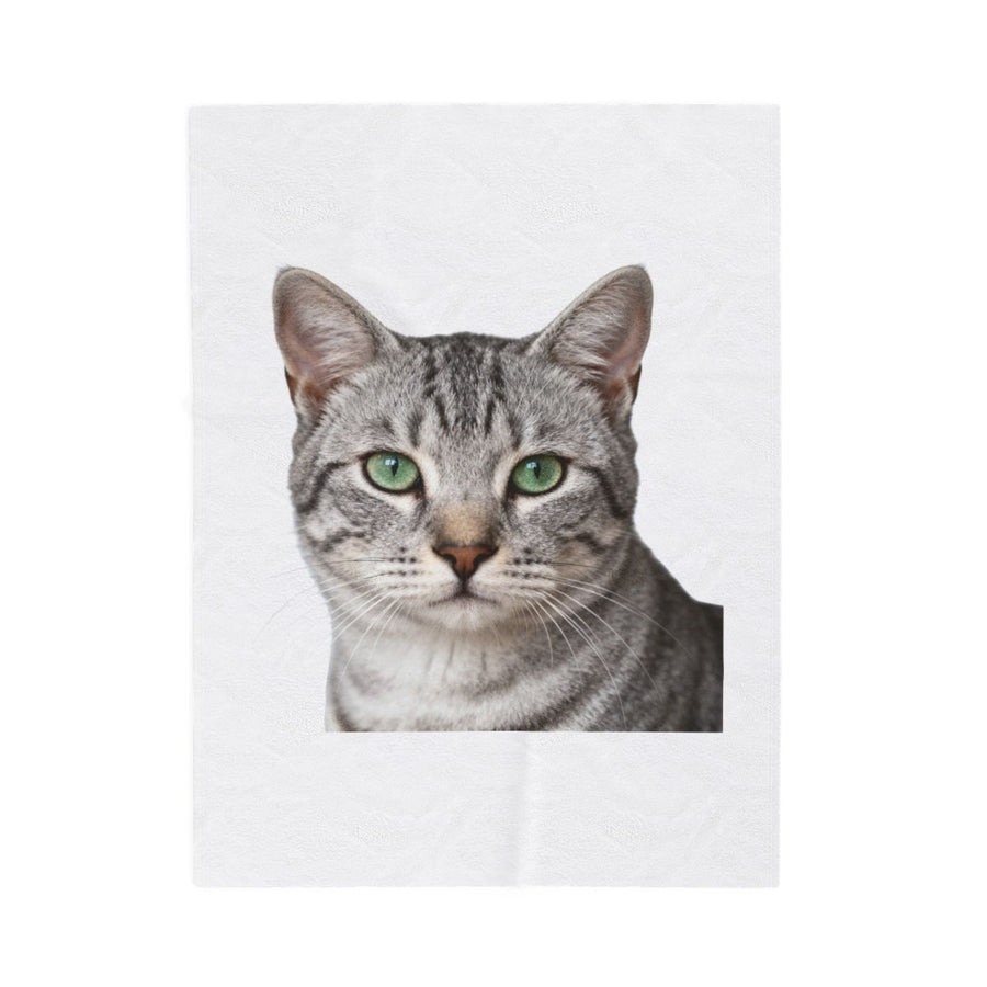 Print my cat on a blanket (example)