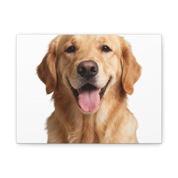 Print my dog on a canvas or poster
