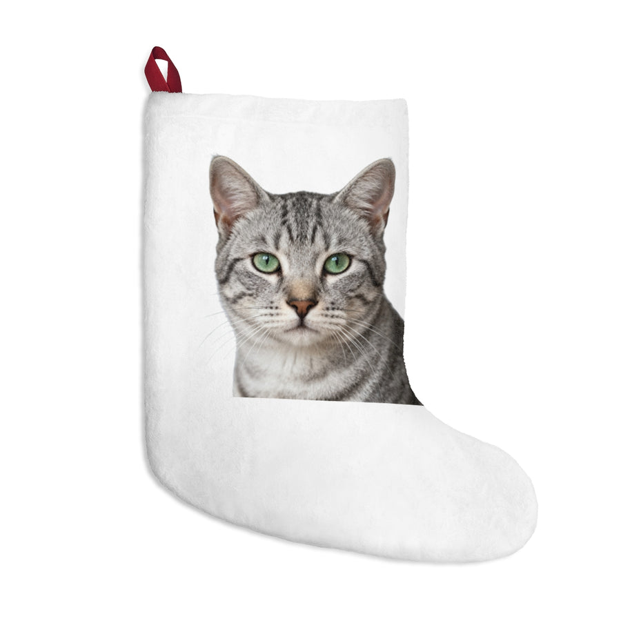 Print my cat on a Christmas stocking (example)