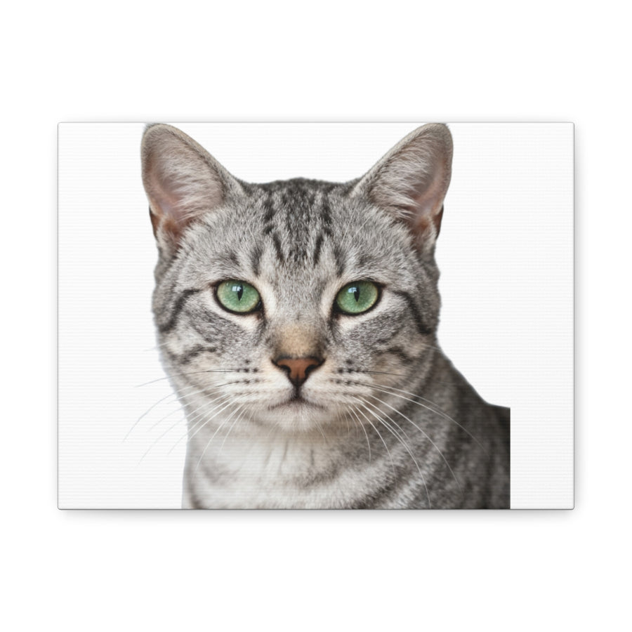 Print my cat on a canvas or poster (example)
