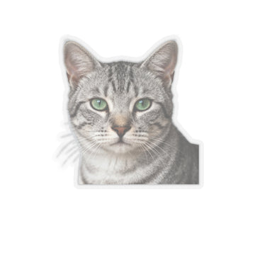 Print my cat on stickers
