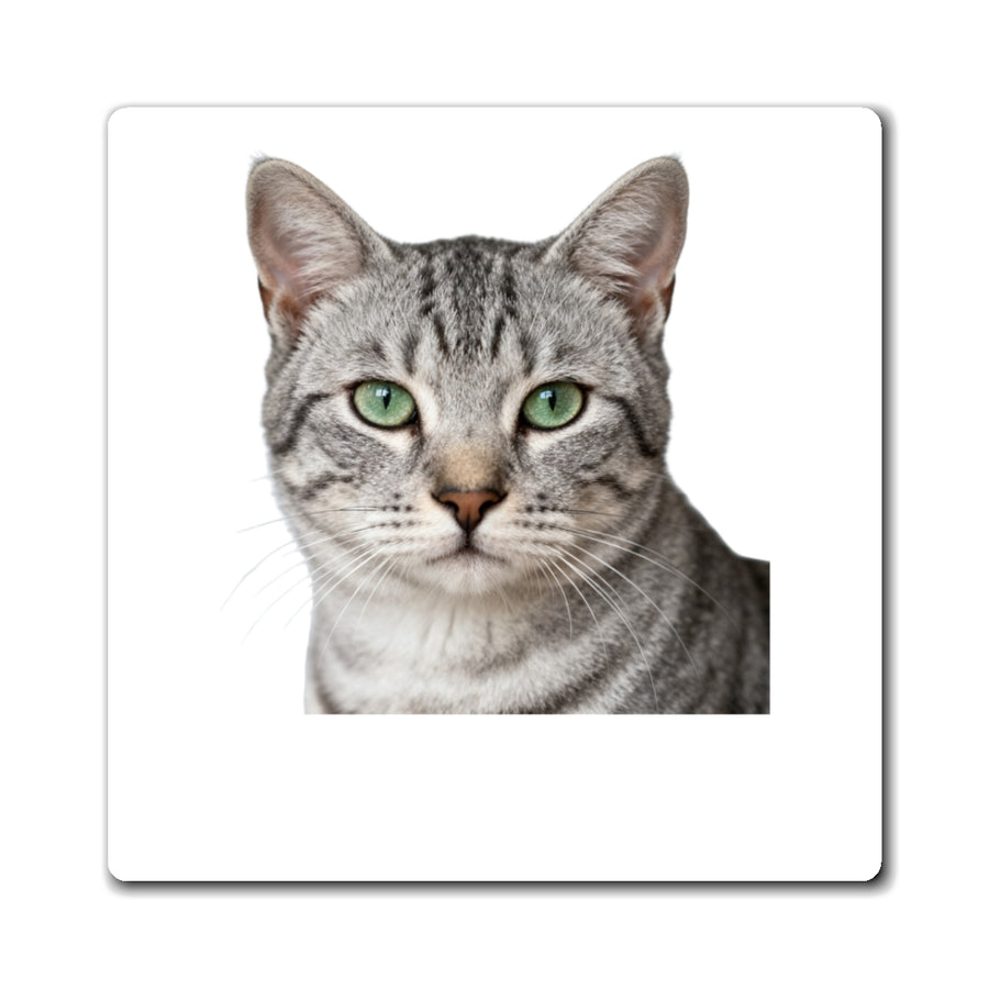 Print my cat on a magnet (example)