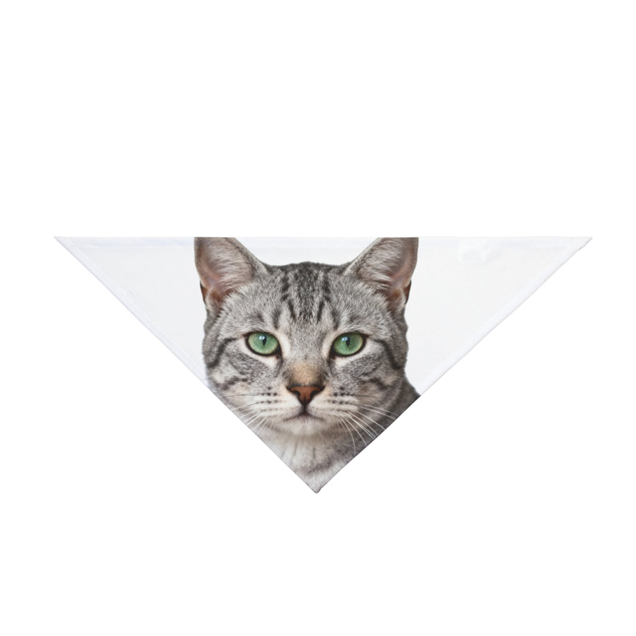 Print my cat on a pet bandana (example)