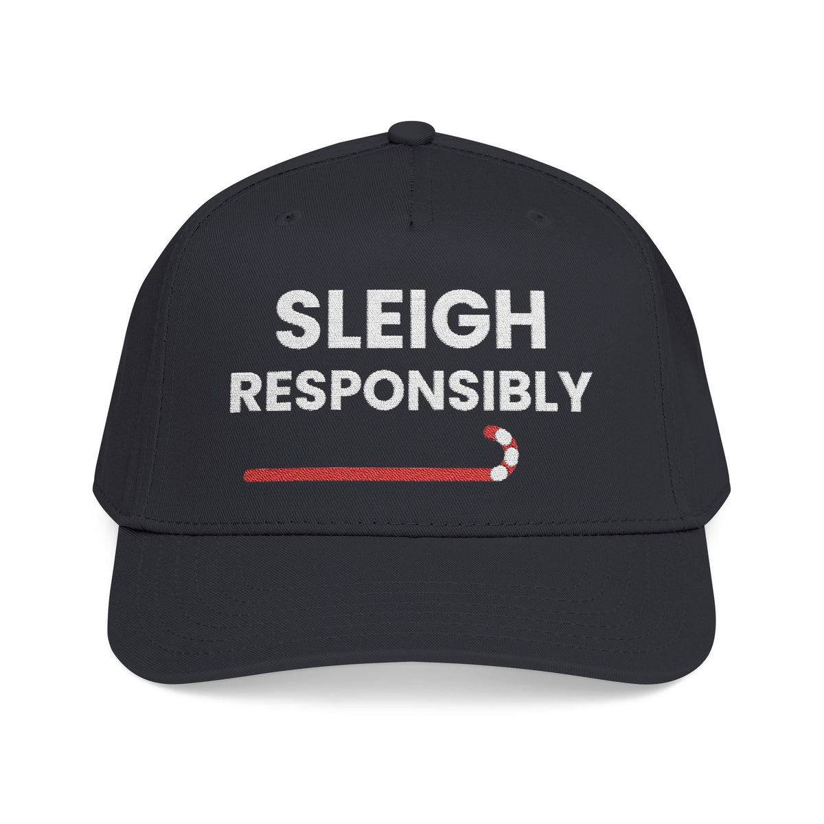 Sleigh Responsibly Christmas Hat