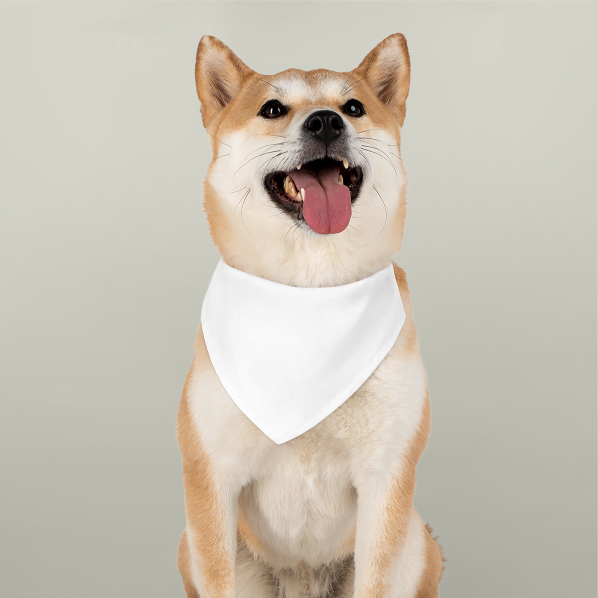 Custom Pet Bandana Collar