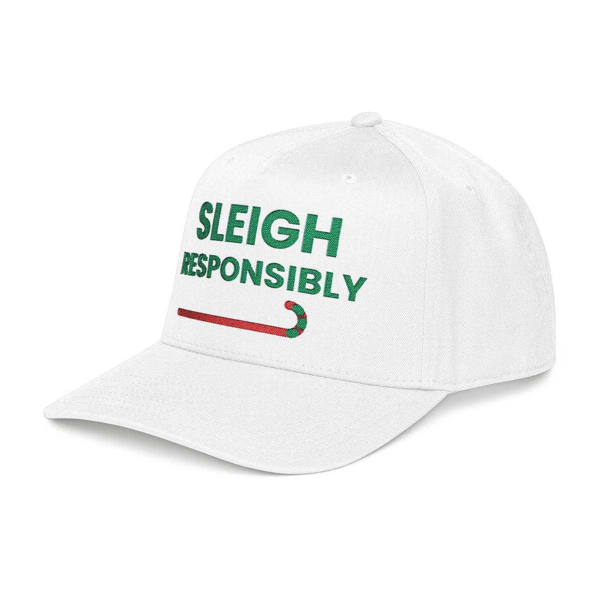 Sleigh Responsibly Christmas Hat