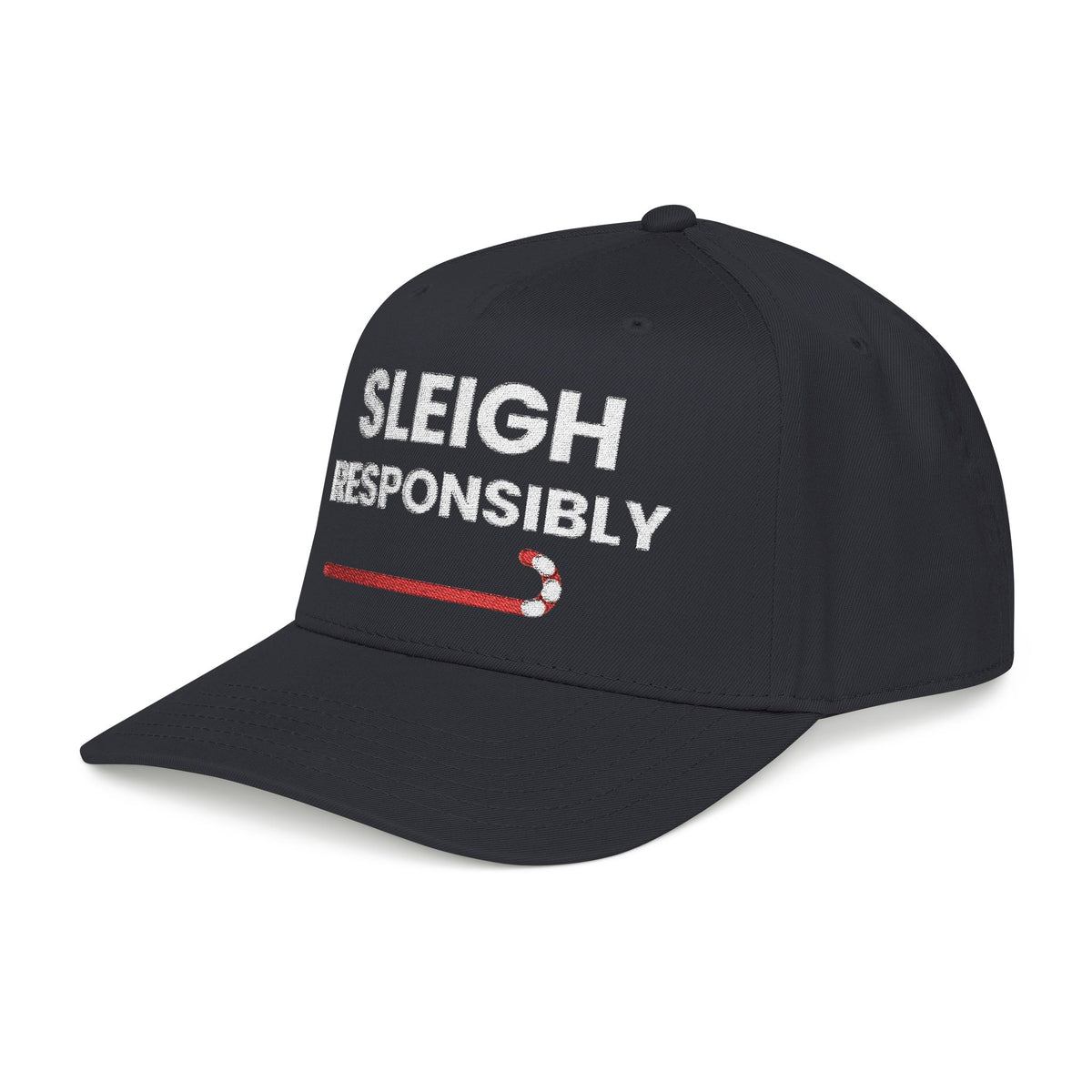 Sleigh Responsibly Christmas Hat