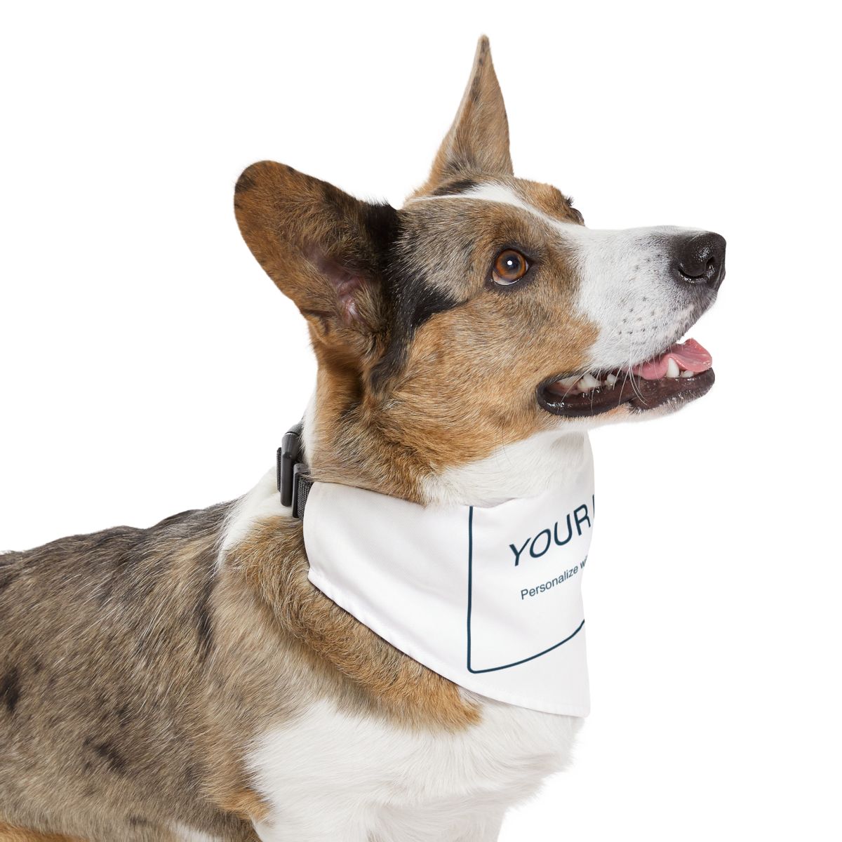 Custom Pet Bandana Collar