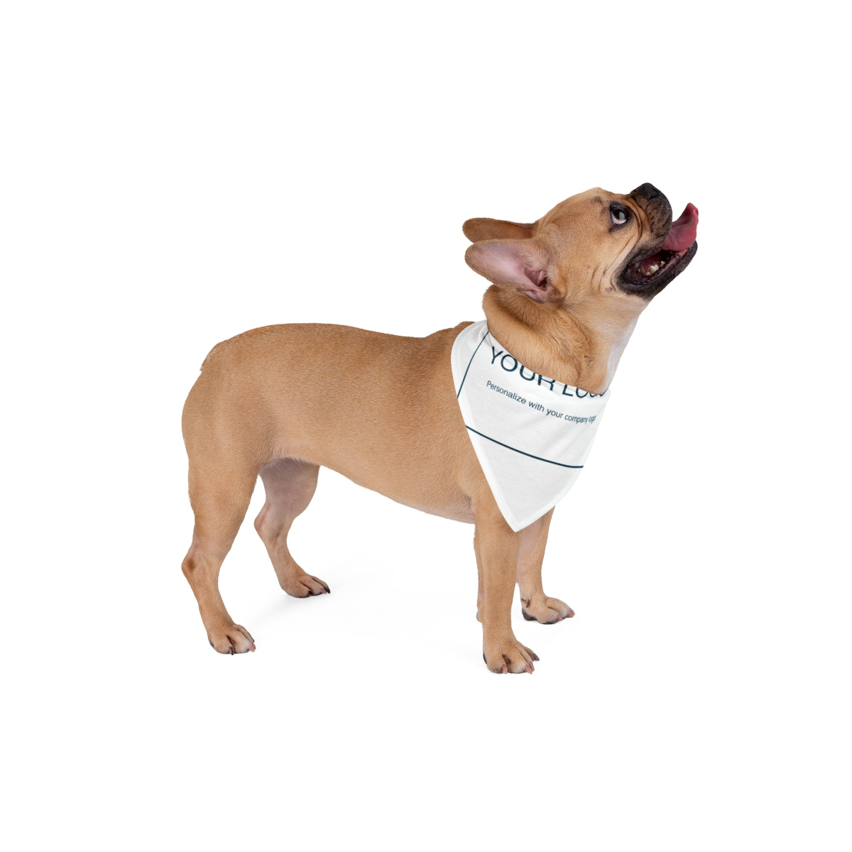 Custom Pet Bandana