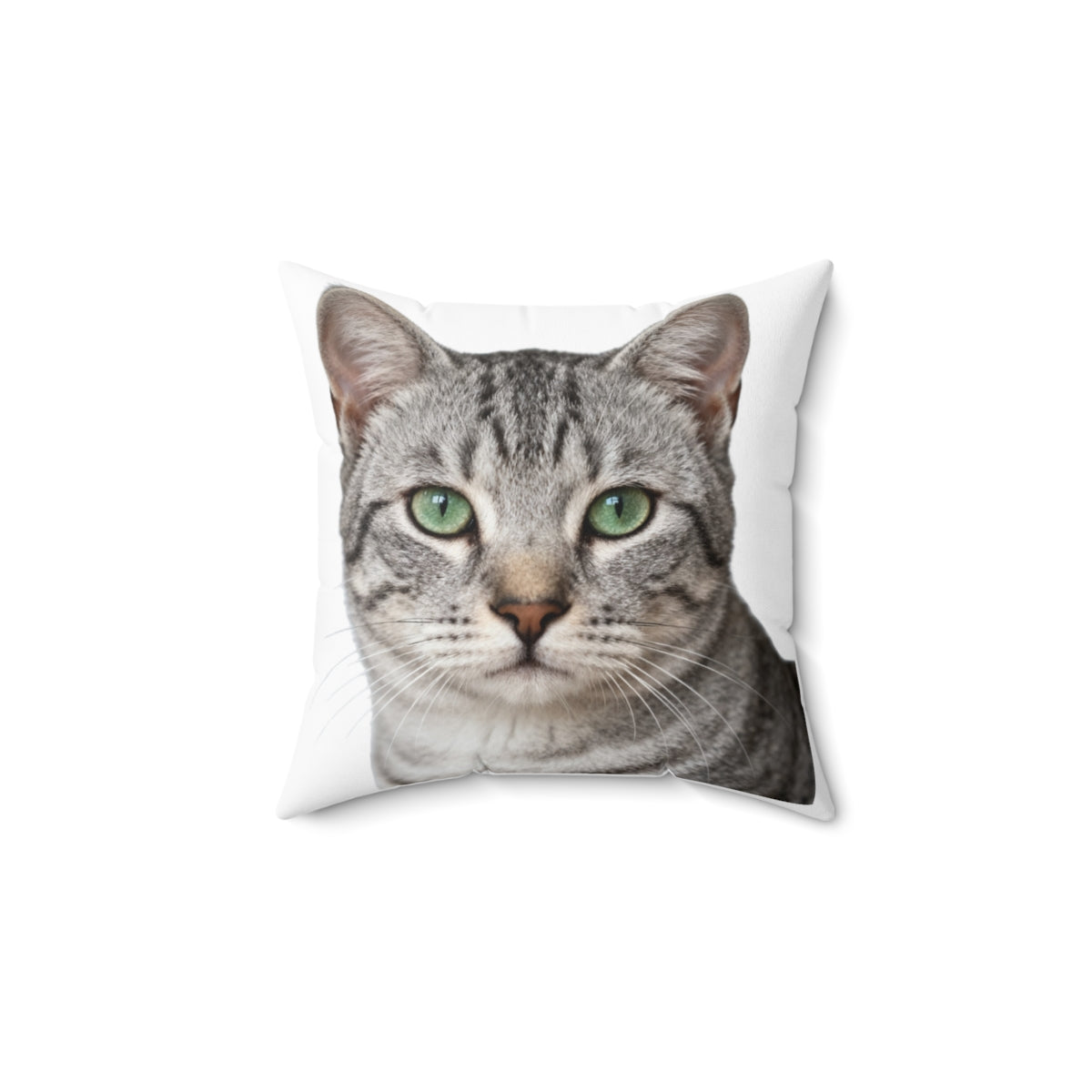 Custom Photo Pillow, Cat photo example