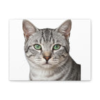 Custom Photo Poster, Dog photo example