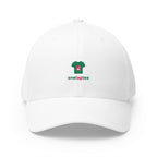 Custom Embroidered Structured Cap